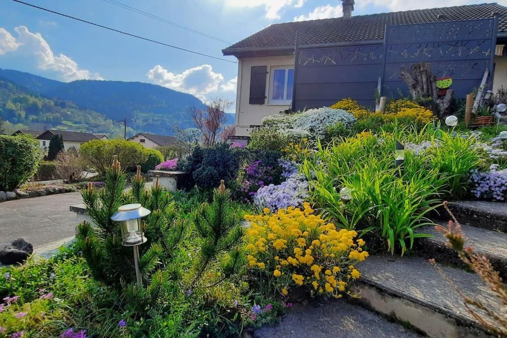 Plain-Pied Proche Base De Loisirs Et Voie Verte Saulxures-sur-Moselotte Exterior photo