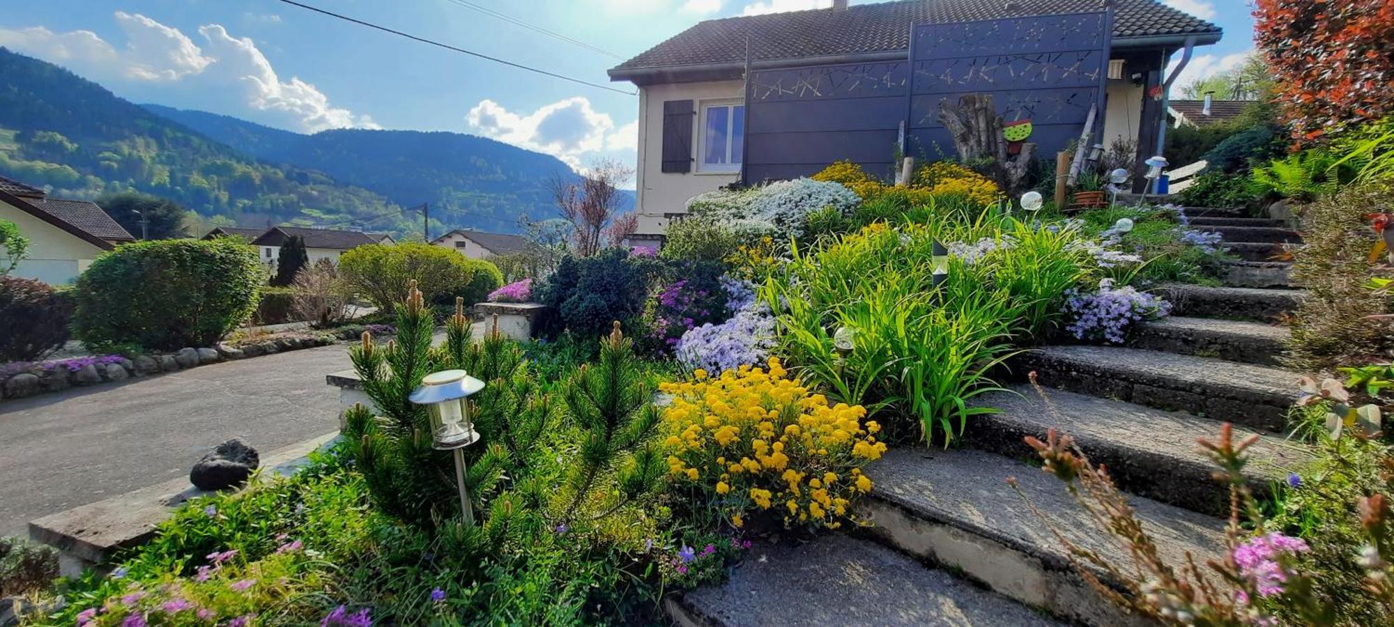 Plain-Pied Proche Base De Loisirs Et Voie Verte Saulxures-sur-Moselotte Exterior photo